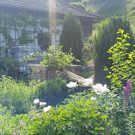Naturidyll Mit Blick Auf Längste Burg Der Welt * Wanghausen